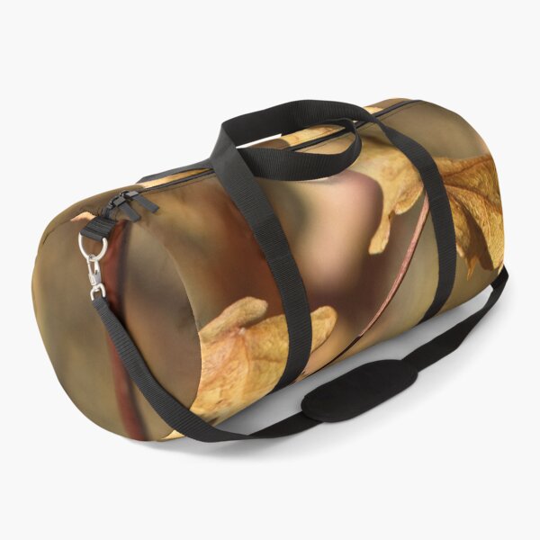 Item preview, Nature photography in the fall season designed and sold by Ventures1.