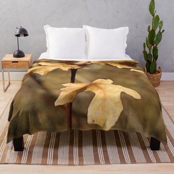 Item preview, Nature photography in the fall season designed and sold by Ventures1.