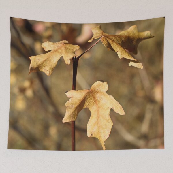 Item preview, Nature photography in the fall season designed and sold by Ventures1.