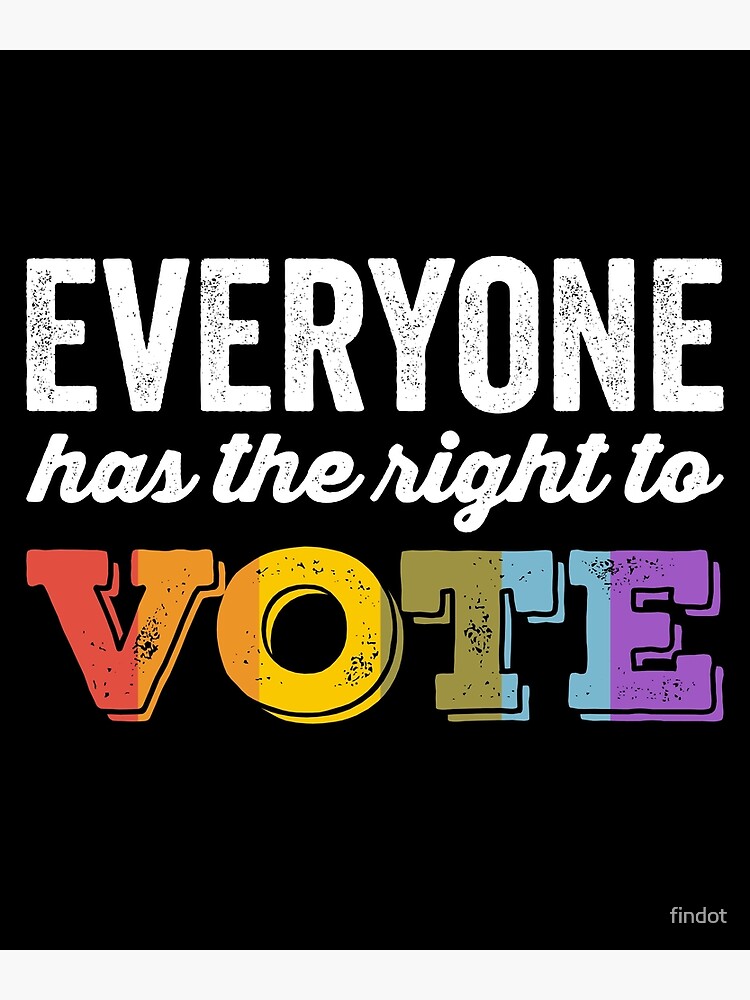 everyone-has-the-right-to-vote-poster-for-sale-by-findot-redbubble