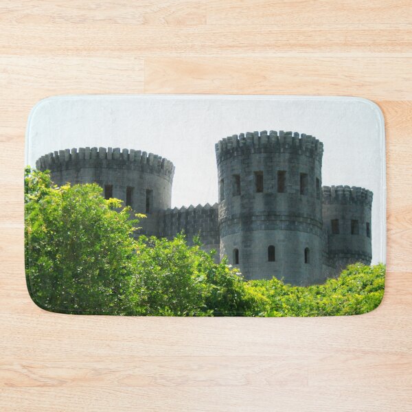 Item preview, Castle in Florida designed and sold by heatherfriedman.