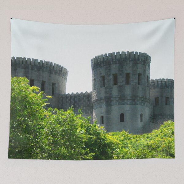 Item preview, Castle in Florida designed and sold by heatherfriedman.