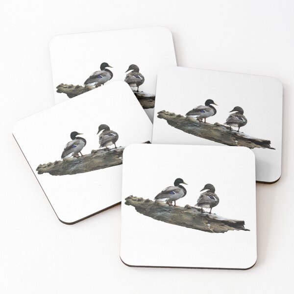 Item preview, Male and Female Mallard Ducks Photograph designed and sold by Robert Link.