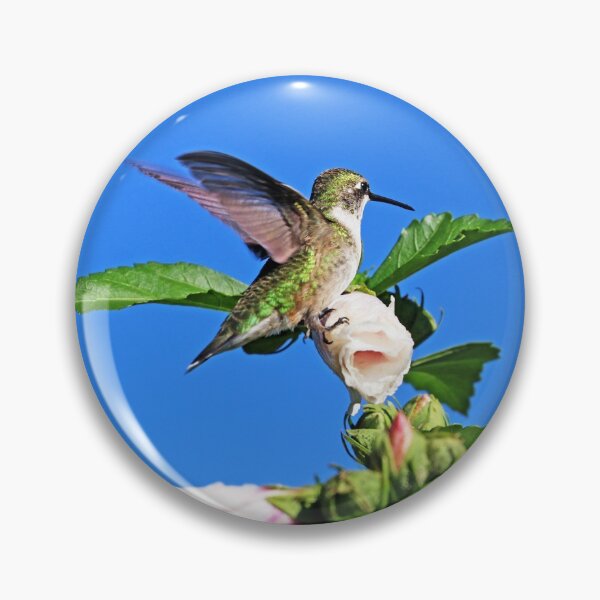 Item preview, Hummingbird And Rose of Sharon designed and sold by Deb Oppermann.