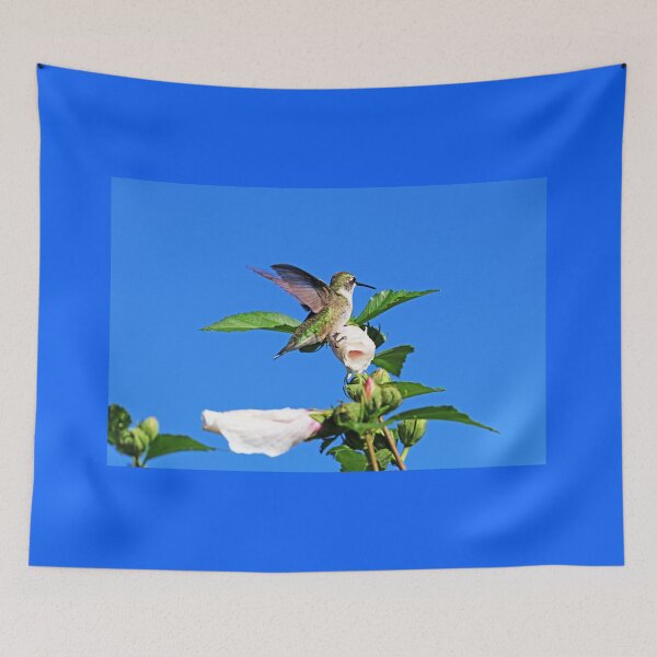 Item preview, Hummingbird And Rose of Sharon designed and sold by Deb Oppermann.