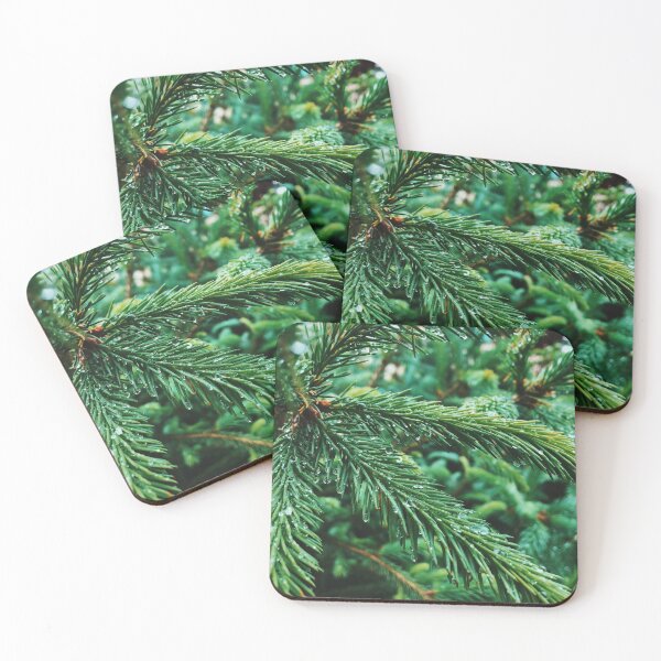 Item preview, Raindrops on Evergreen Branches  designed and sold by Wildwood Flower Photography Co. by Tamara Black.