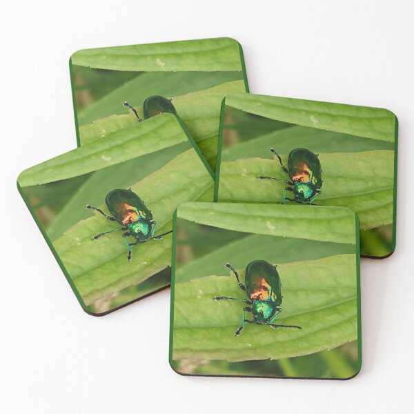 Item preview, Dogbane Leaf Beetle (Chrysochus auratus) designed and sold by Zoologe.