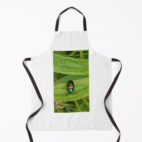 Item preview, Dogbane Leaf Beetle (Chrysochus auratus) designed and sold by Zoologe.