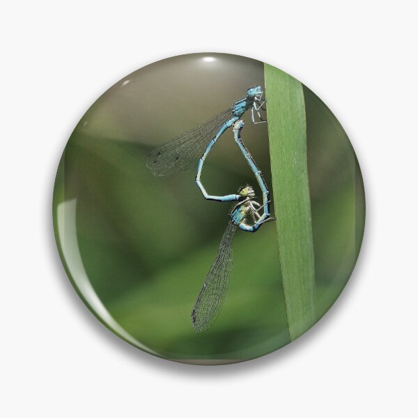 Item preview, 2581/  6  Libellules-Dragonflies " Des têtes de Clowns amoureux ! "  finition 2020 par Okaio Créations - Olavia&Olao  designed and sold by o.okaïo.