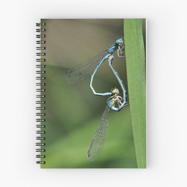 Item preview, 2581/  6  Libellules-Dragonflies " Des têtes de Clowns amoureux ! "  finition 2020 par Okaio Créations - Olavia&Olao  designed and sold by o.okaïo.