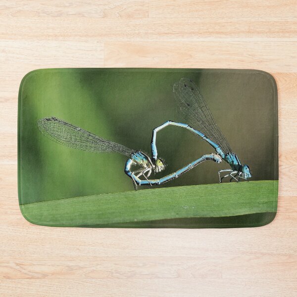 Item preview, 2581/  6  Libellules-Dragonflies " Des têtes de Clowns amoureux ! "  finition 2020 par Okaio Créations - Olavia&Olao  designed and sold by o.okaïo.