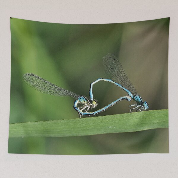 Item preview, 2581/  6  Libellules-Dragonflies " Des têtes de Clowns amoureux ! "  finition 2020 par Okaio Créations - Olavia&Olao  designed and sold by o.okaïo.