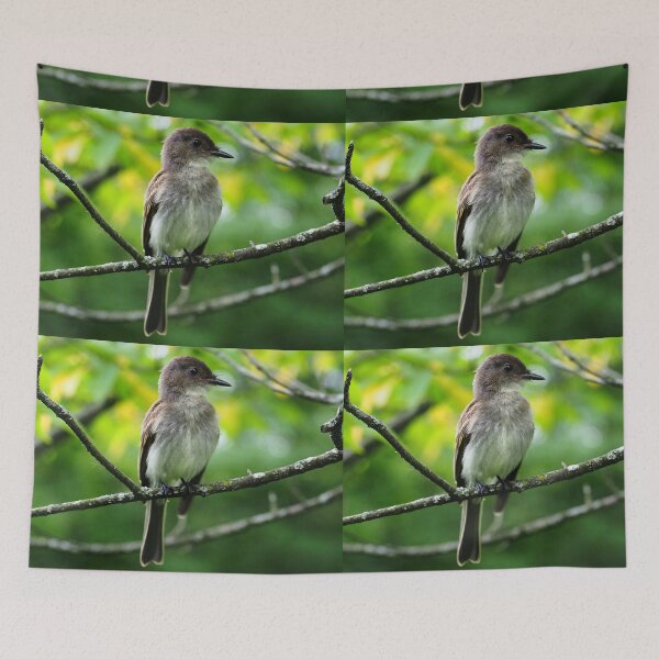 Item preview, Eastern Phoebe (Sayornis phoebe) designed and sold by Zoologe.