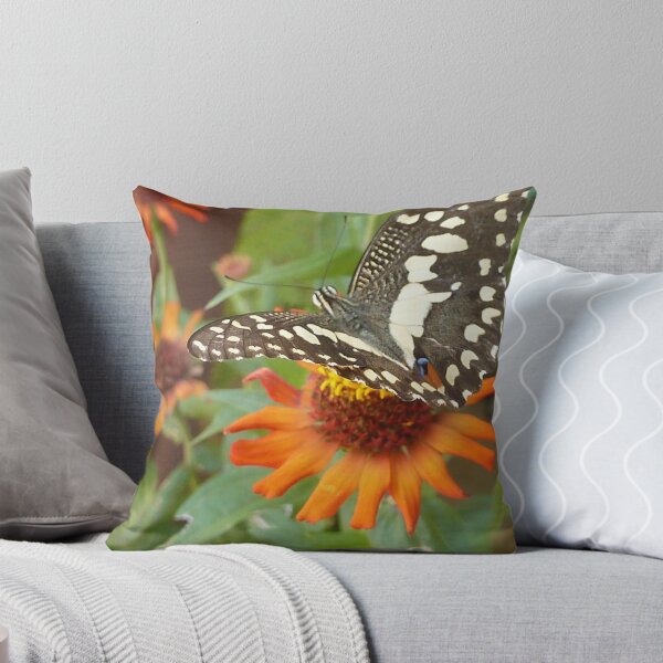 Artikelvorschau, Schmetterling auf Blume entworfen und verkauft von tripode.