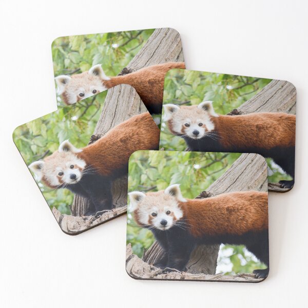 Item preview, RedPanda designed and sold by Ksswaden.