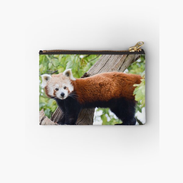 Item preview, RedPanda designed and sold by Ksswaden.