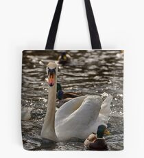 Swan on the Neckar Tote Bag