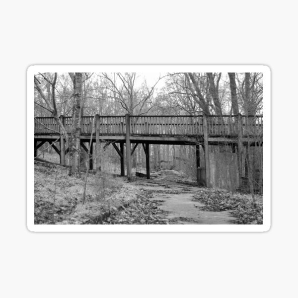 Item preview, High Rise Walkway designed and sold by WisePhoto.