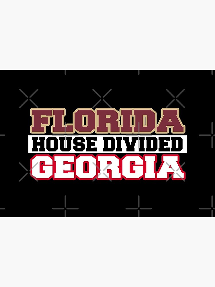 Florida House Divided Georgia by Mbranco