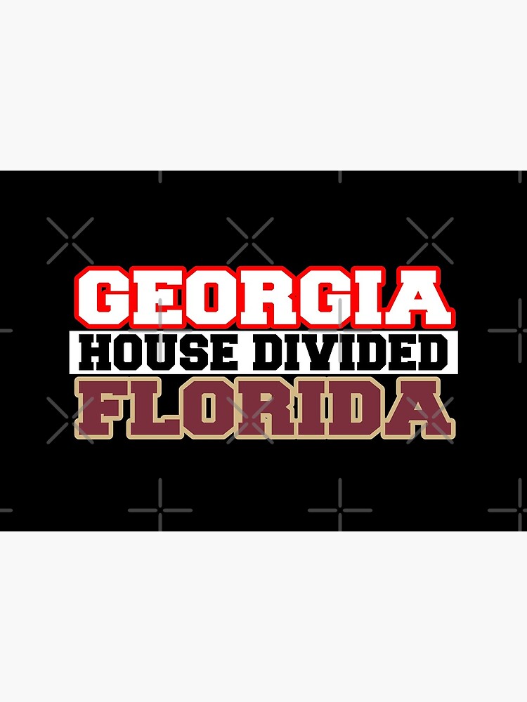 Georgia House Divided Florida by Mbranco