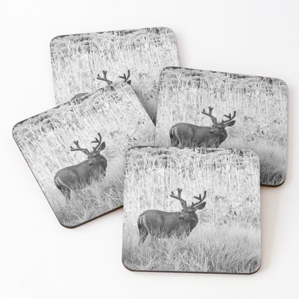 Item preview, Deer on the prowl designed and sold by Angela Marshall.