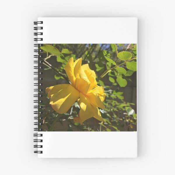 Item preview, Yellow Flower designed and sold by TM Art.
