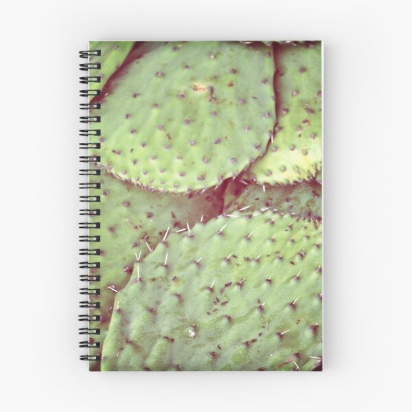 Item preview, cactus leaves photograph designed and sold by studiobuenaonda.