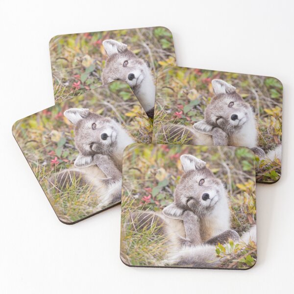 Item preview, Arctic Fox designed and sold by Jukka Jantunen.
