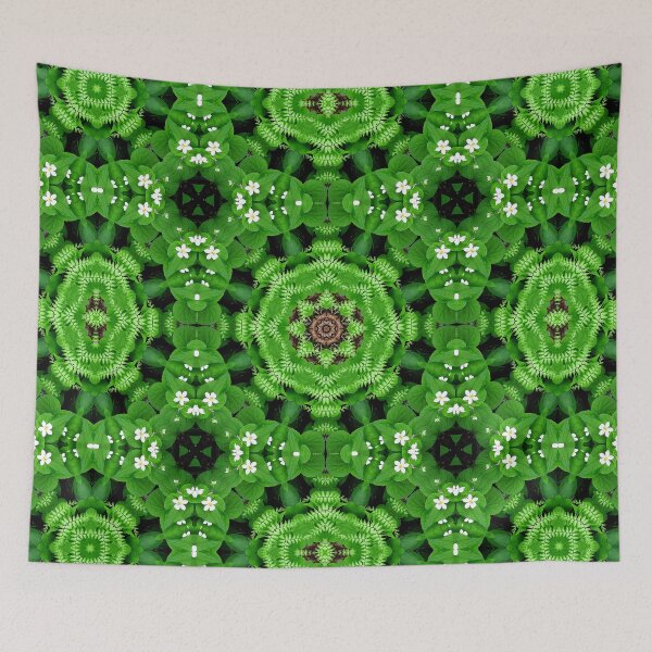 Item preview, Maidenhair fern kaleidoscope mandala designed and sold by rvjames.