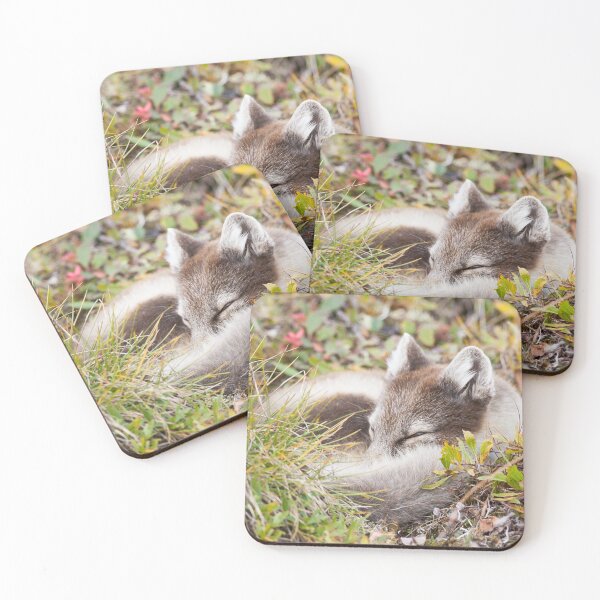 Item preview, Arctic Fox designed and sold by Jukka Jantunen.