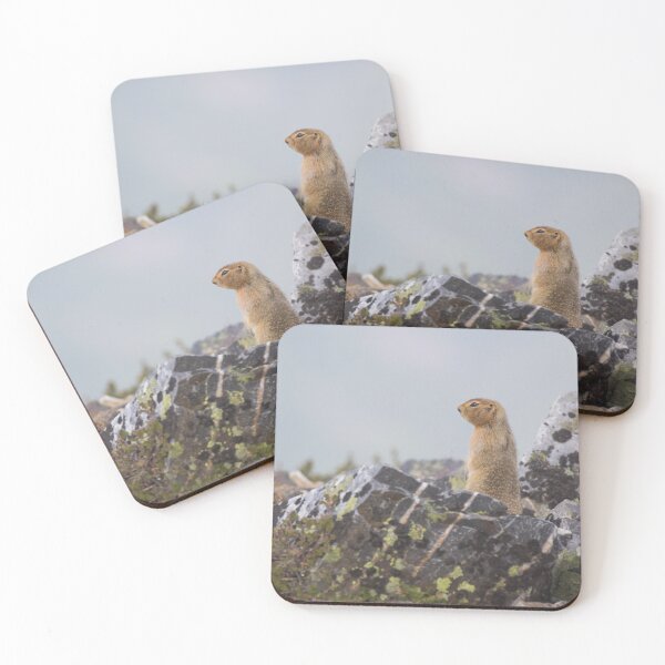 Item preview, Arctic Ground Squirrel designed and sold by Jukka Jantunen.