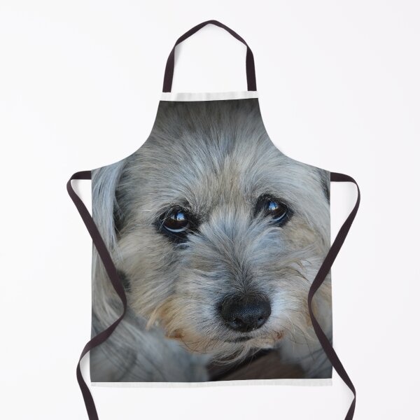 Item preview, Bear, Love Love Me Do designed and sold by Bev Woodman.