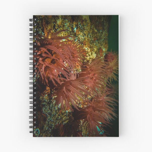 Item preview, Crimson Anemones designed and sold by Bob Webb.