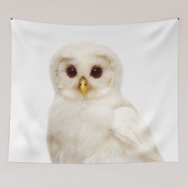 Item preview, White Baby Owl Art Print by Zouzounio Art designed and sold by zouzounioart.