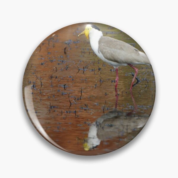 Item preview, Masked Lapwing ~ Coloured By Nature designed and sold by Robert Elliott.