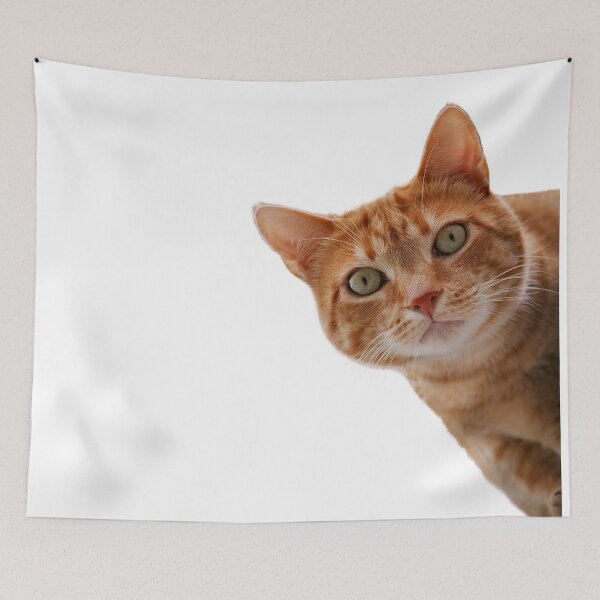 Item preview, Orange Tabby Cat Art Print by Zouzounio Art designed and sold by zouzounioart.