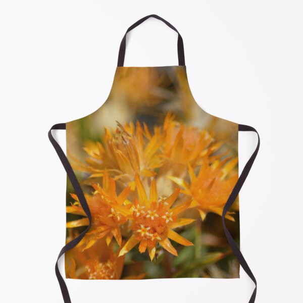Item preview, orange flower Pilbara Australia designed and sold by Schoensl.