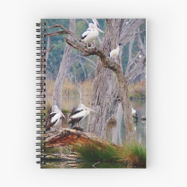 Item preview, The Roost designed and sold by D-GaP.