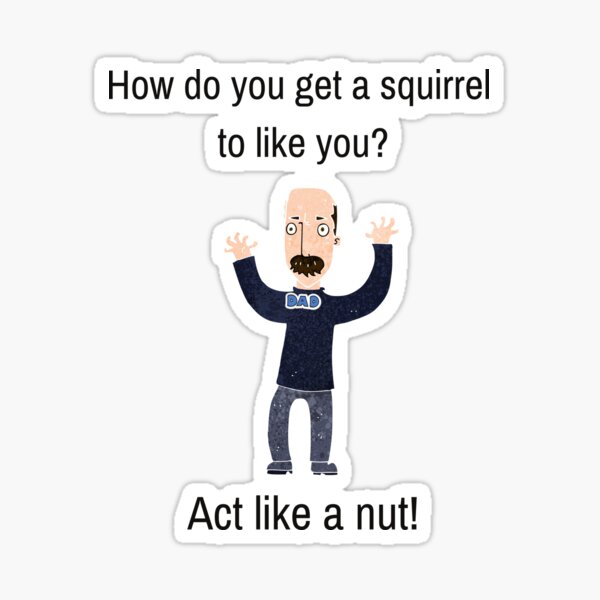 Squirrel Jokes Stickers Redbubble