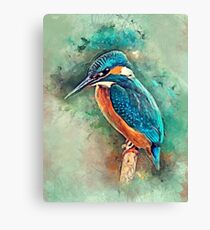 kingfisher Canvas Print