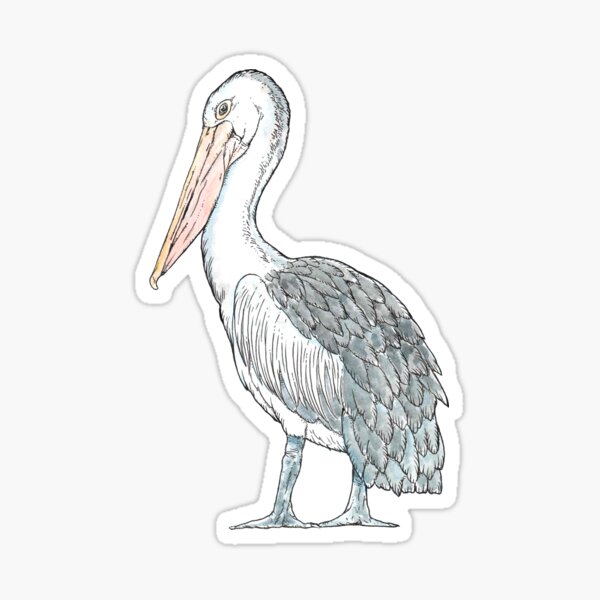 Item preview, Australian Pelican designed and sold by bangart.