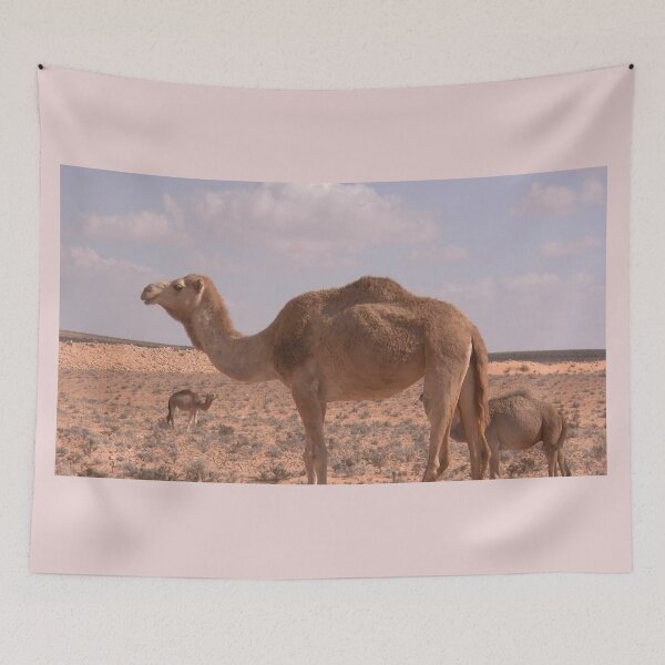 Item preview,  Camels on the desert.  designed and sold by Lan thi Nguyen.