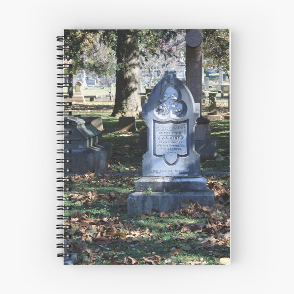 Item preview, All the Old Graves in a Historic Southern Cemetery  designed and sold by Silver Sky by Janet.
