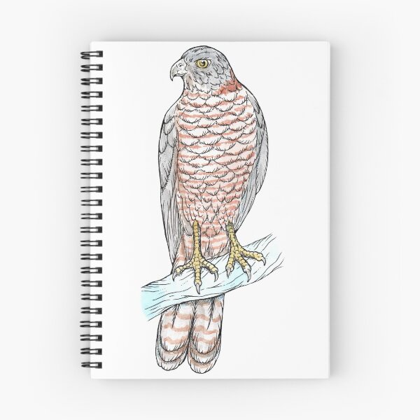 Item preview, Brown Goshawk designed and sold by bangart.