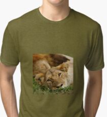 dreamy lioness Tri-blend T-Shirt