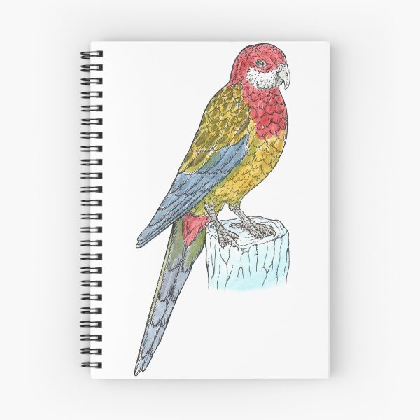 Item preview, Eastern Rosella designed and sold by bangart.