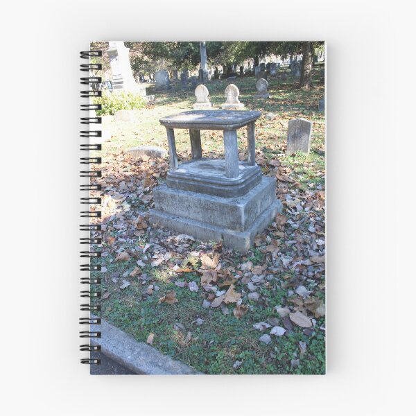 Item preview, A New Perspective for Remembrance  designed and sold by Silver Sky by Janet.