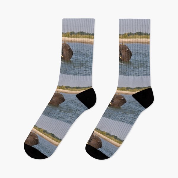 Item preview, elephant in river, portrait, Africa designed and sold by Schoensl.