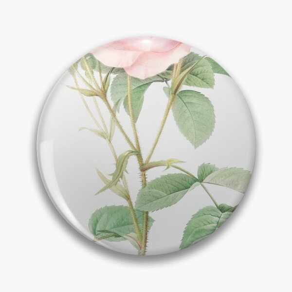 Item preview, Les Roses by Pierre-Joseph Redouté designed and sold by EsotericBotanic.