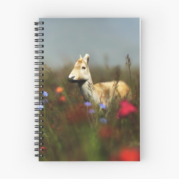 Item preview, Roe in a Meadow designed and sold by Hannah Joy Patterson.